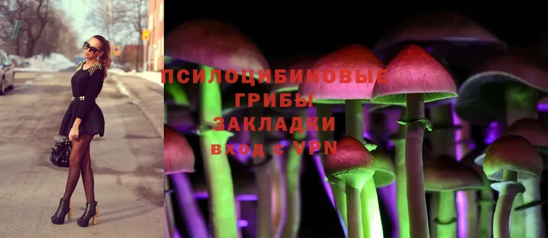 Псилоцибиновые грибы MAGIC MUSHROOMS  kraken tor  Кострома 